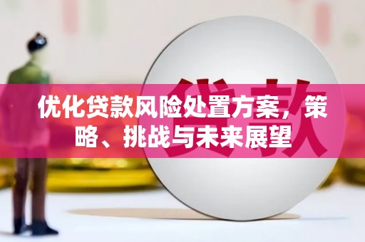 头份优化贷款风险处置方案，策略、挑战与未来展望
