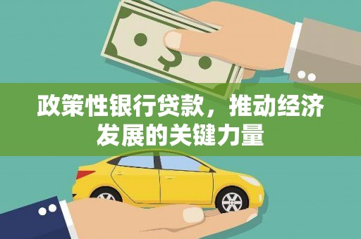 头份政策性银行贷款，推动经济发展的关键力量