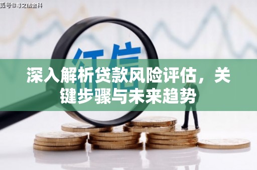 头份深入解析贷款风险评估，关键步骤与未来趋势