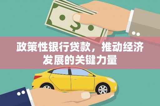 头份政策性银行贷款，推动经济发展的关键力量