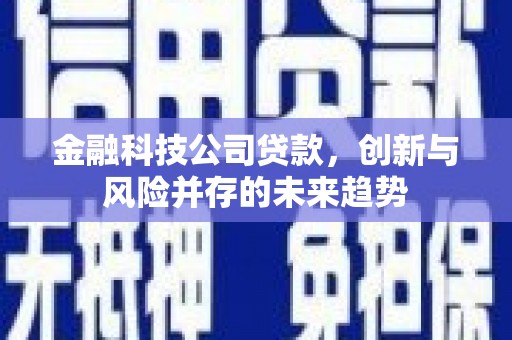 头份金融科技公司贷款，创新与风险并存的未来趋势