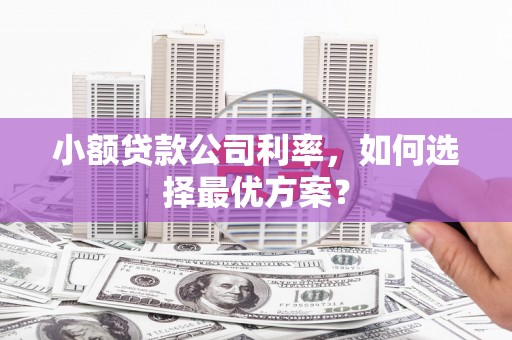 头份小额贷款公司利率，如何选择最优方案？