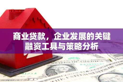 头份商业贷款，企业发展的关键融资工具与策略分析