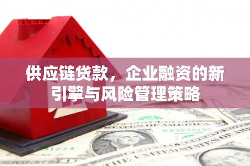 头份供应链贷款，企业融资的新引擎与风险管理策略
