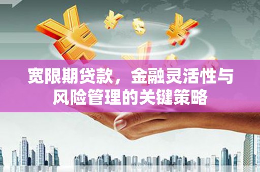 头份宽限期贷款，金融灵活性与风险管理的关键策略