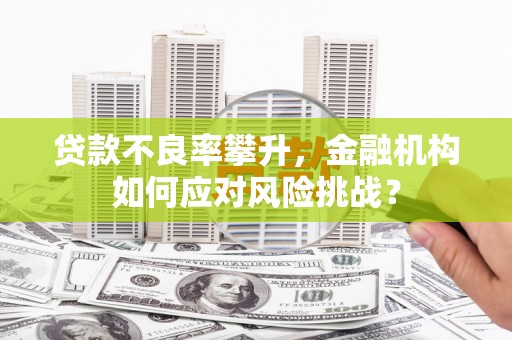 头份贷款不良率攀升，金融机构如何应对风险挑战？