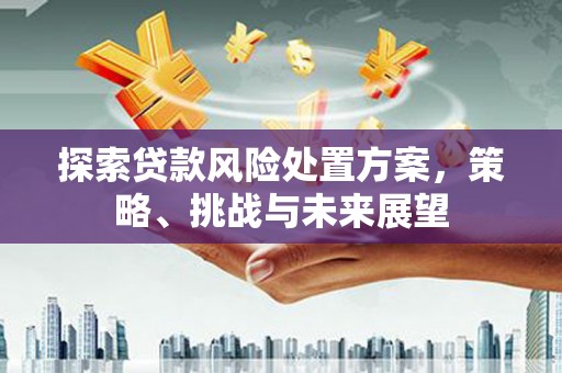 头份探索贷款风险处置方案，策略、挑战与未来展望