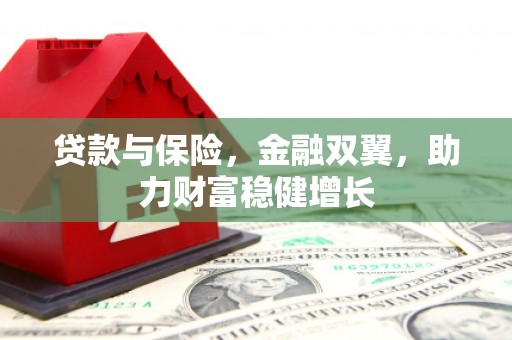 头份贷款与保险，金融双翼，助力财富稳健增长