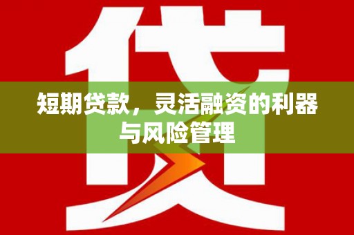 头份短期贷款，灵活融资的利器与风险管理