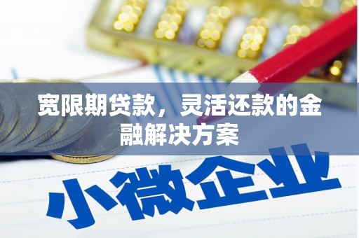 头份宽限期贷款，灵活还款的金融解决方案