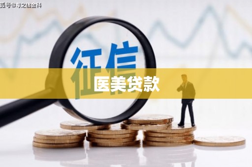 头份医美贷款