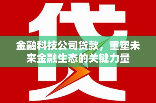 头份金融科技公司贷款，重塑未来金融生态的关键力量