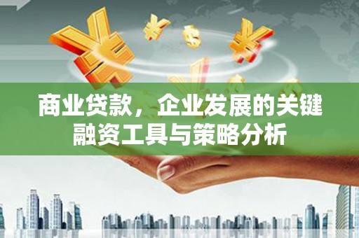 头份商业贷款，企业发展的关键融资工具与策略分析