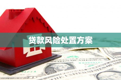 头份贷款风险处置方案
