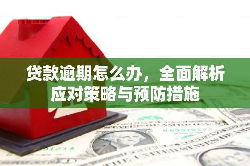 头份贷款逾期怎么办，全面解析应对策略与预防措施