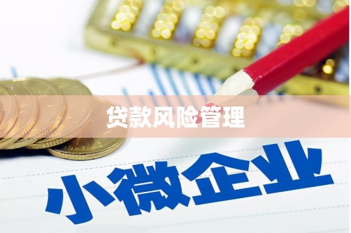 头份贷款风险管理