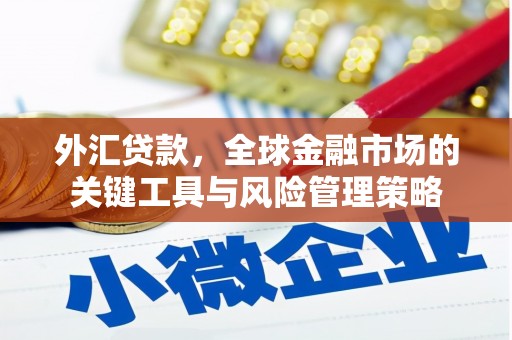 头份外汇贷款，全球金融市场的关键工具与风险管理策略