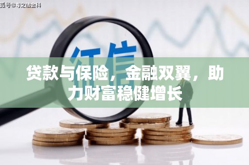 头份贷款与保险，金融双翼，助力财富稳健增长