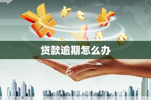 头份贷款逾期怎么办