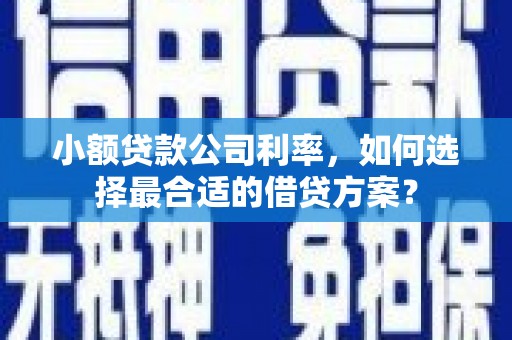头份小额贷款公司利率，如何选择最合适的借贷方案？