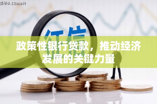 头份政策性银行贷款，推动经济发展的关键力量