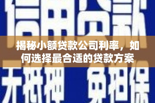 头份揭秘小额贷款公司利率，如何选择最合适的贷款方案