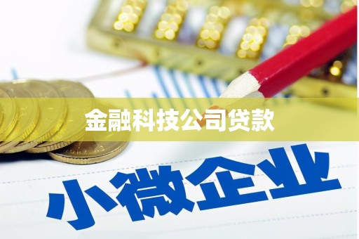 头份金融科技公司贷款