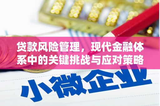 头份贷款风险管理，现代金融体系中的关键挑战与应对策略