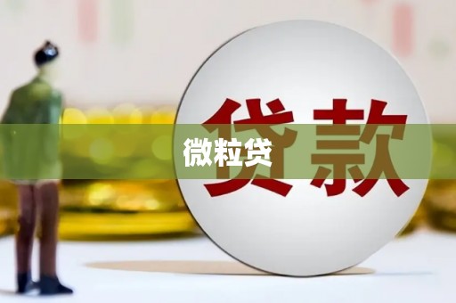头份微粒贷