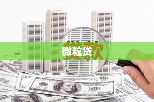 头份微粒贷