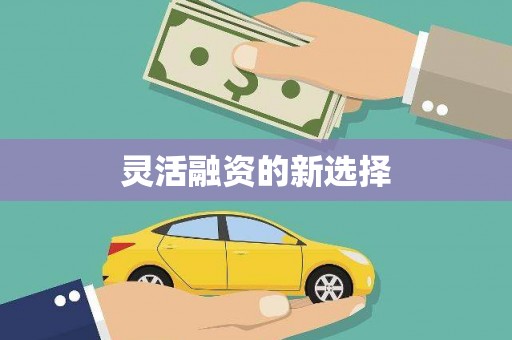 头份灵活融资的新选择