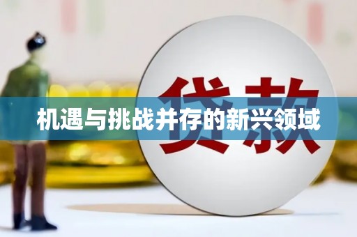 头份机遇与挑战并存的新兴领域
