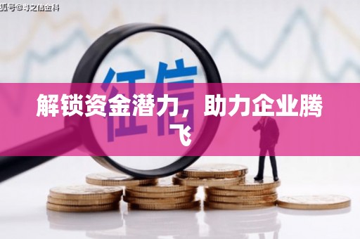 头份解锁资金潜力，助力企业腾飞