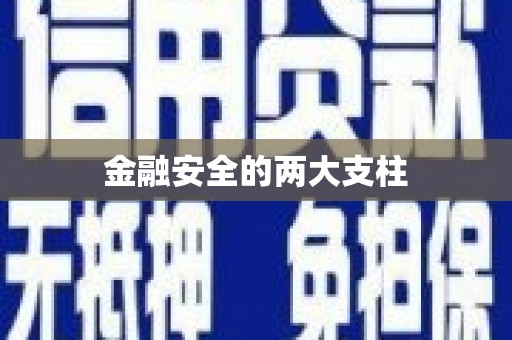 头份金融安全的两大支柱