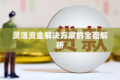 头份灵活资金解决方案的全面解析