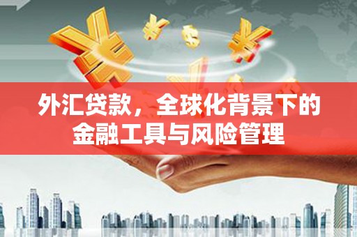 头份外汇贷款，全球化背景下的金融工具与风险管理