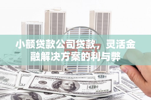 头份小额贷款公司贷款，灵活金融解决方案的利与弊