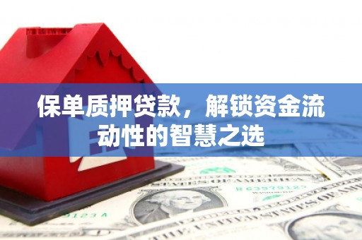 头份保单质押贷款，解锁资金流动性的智慧之选